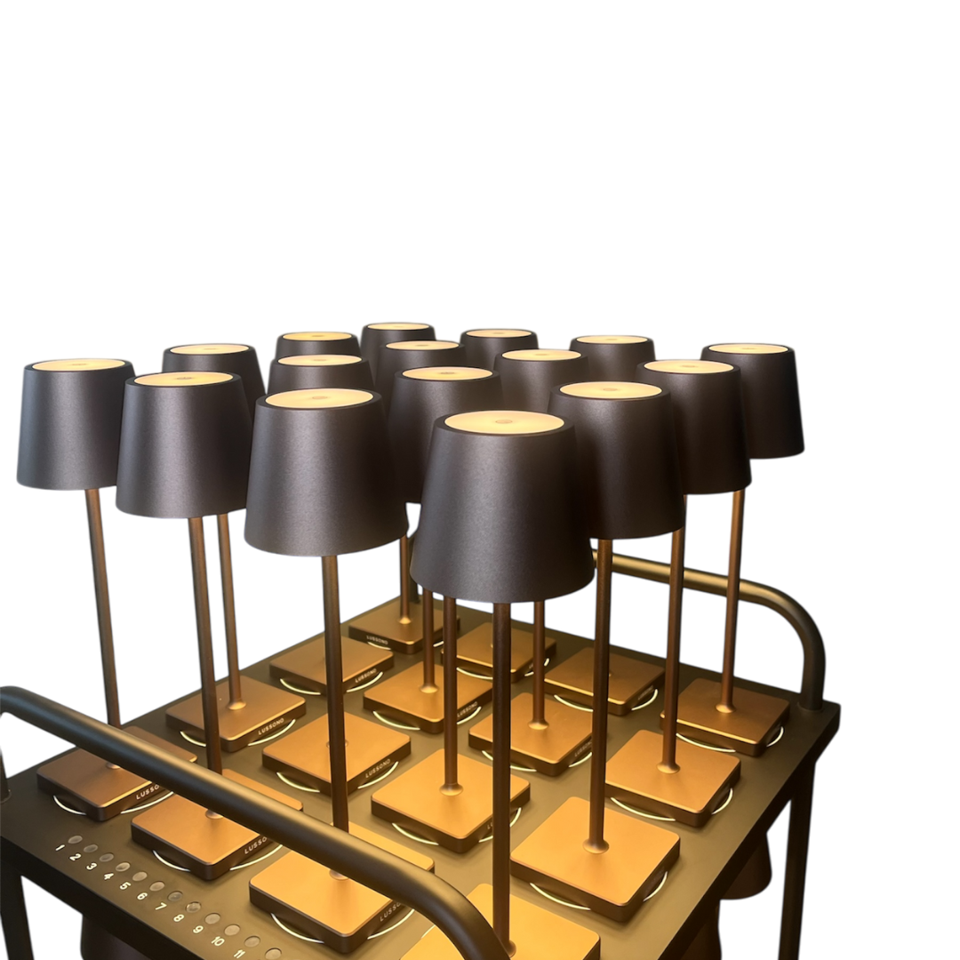 Bundle 48x Lussono Classico + 48 in 1 Charging trolley