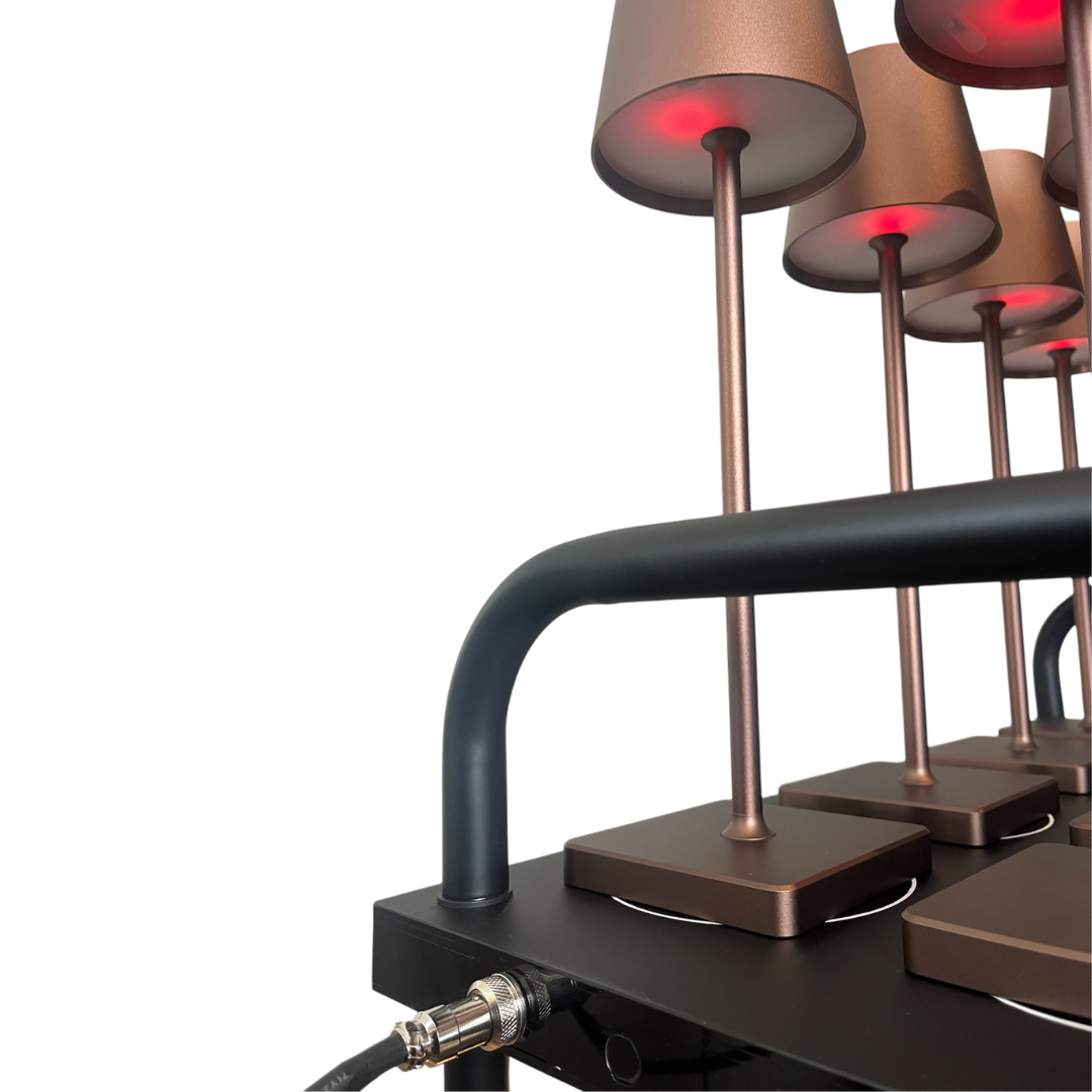 Bundle 48x Lussono Classico + 48 in 1 Charging trolley