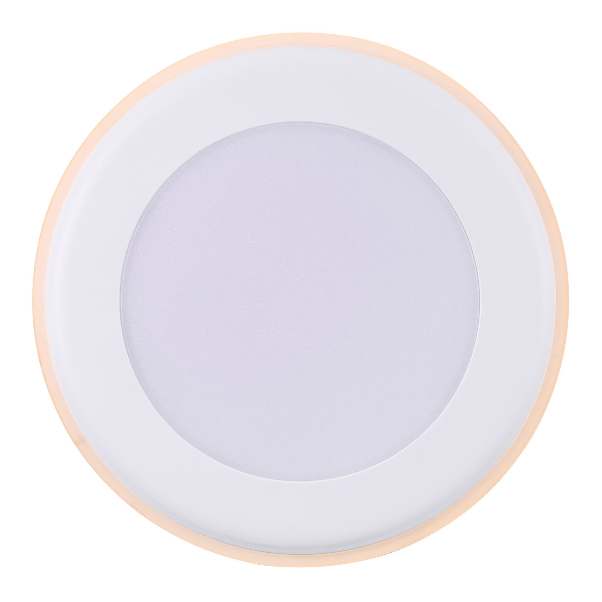 Elkton 14  Downlight Wit