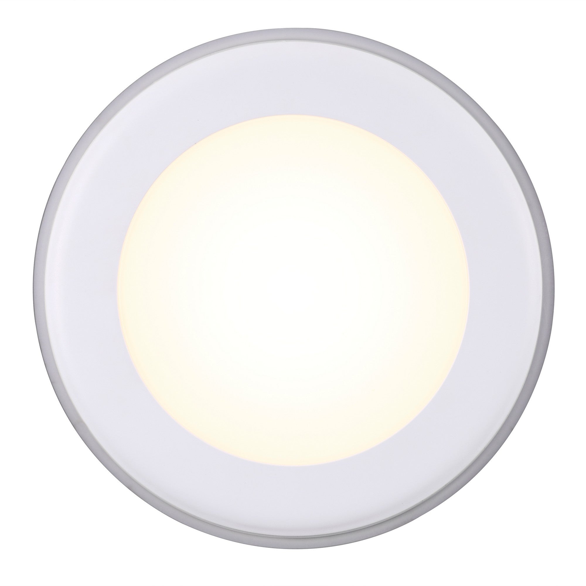 Elkton 14  Downlight Wit