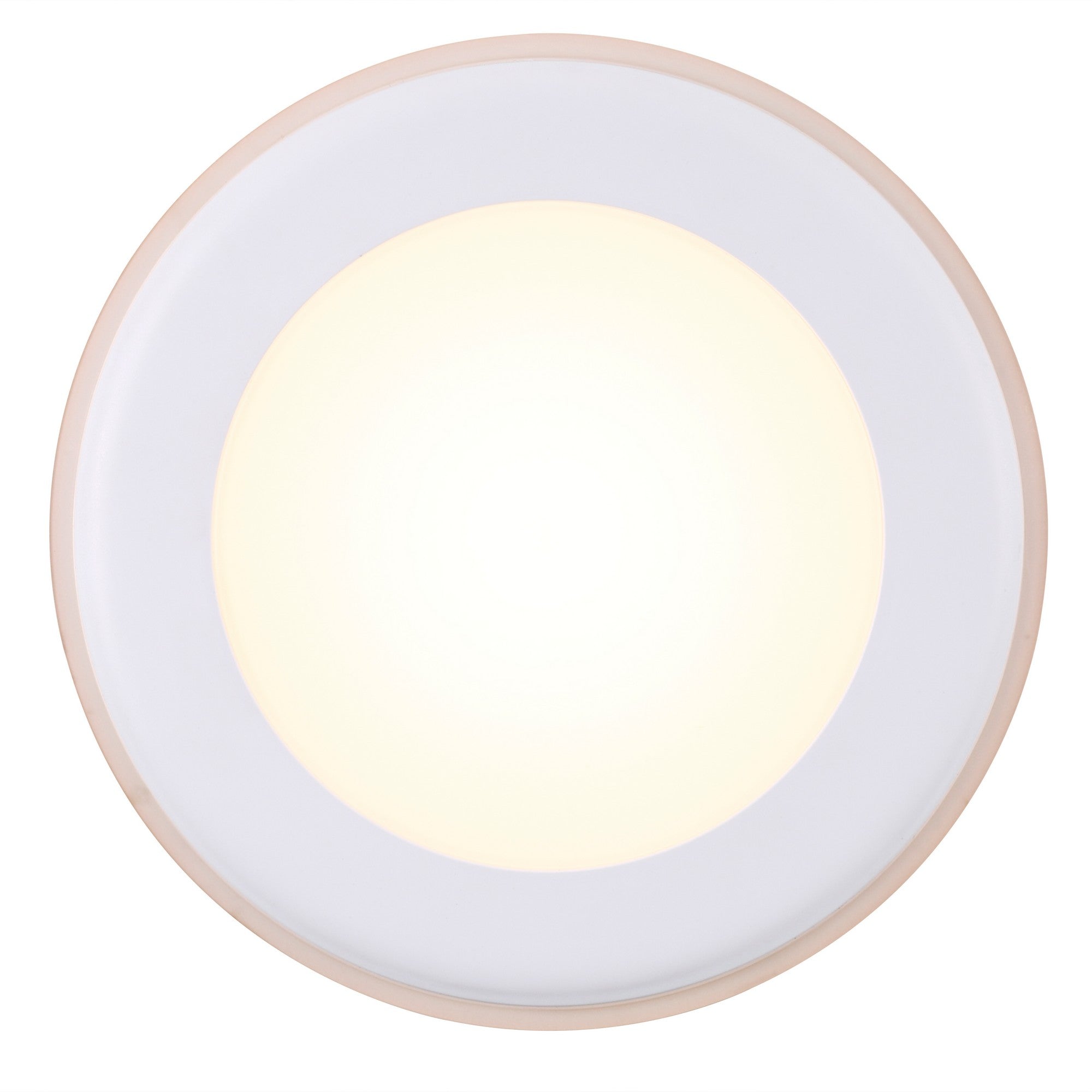 Elkton 14  Downlight Wit