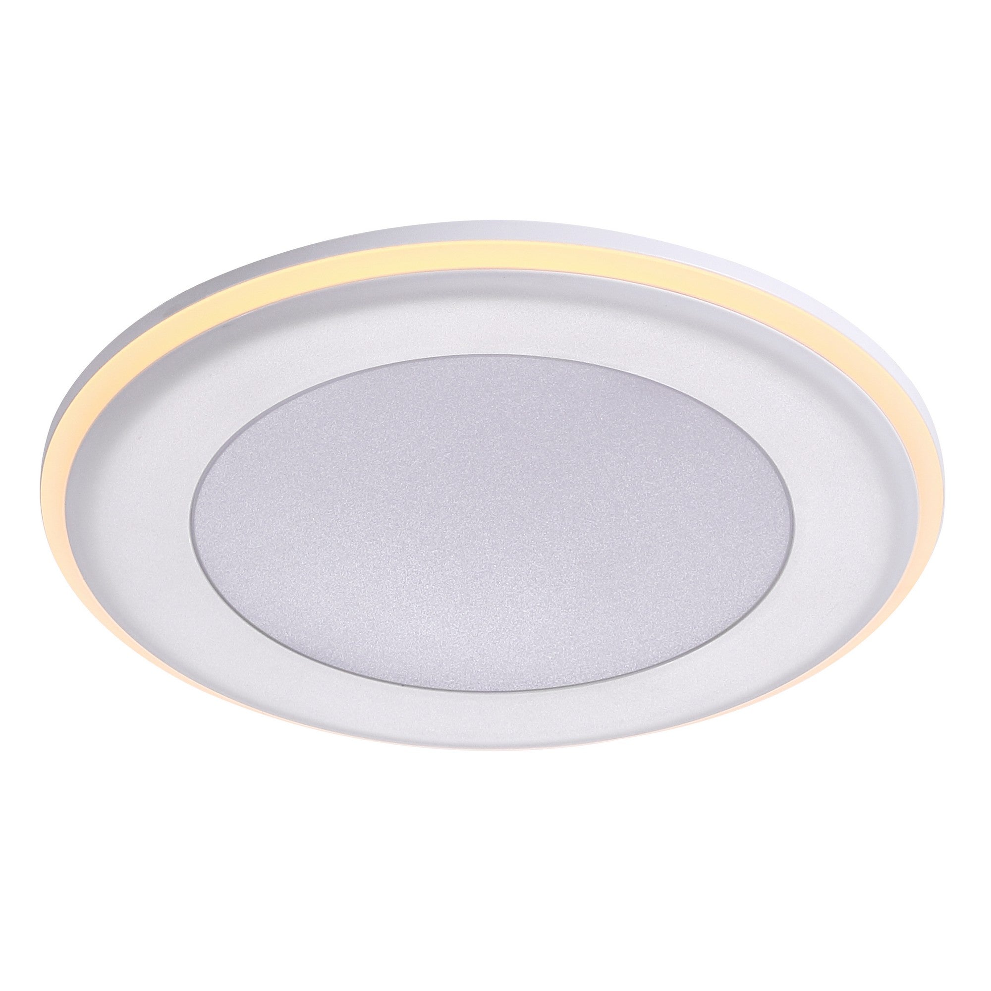 Elkton 14  Downlight Wit