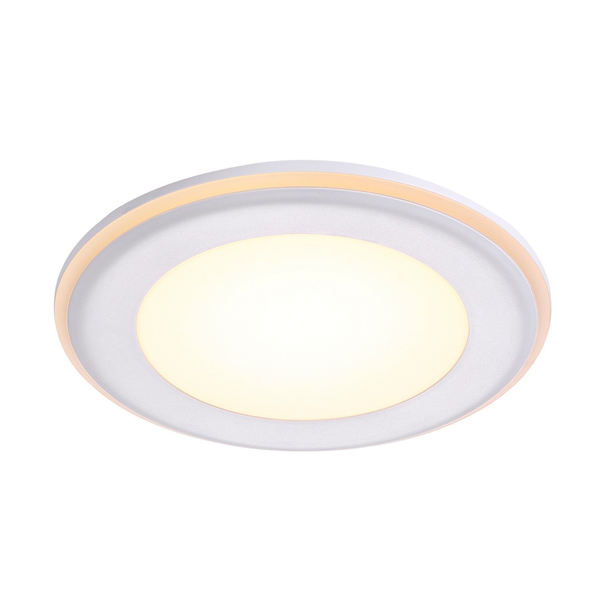 Elkton 14  Downlight Wit