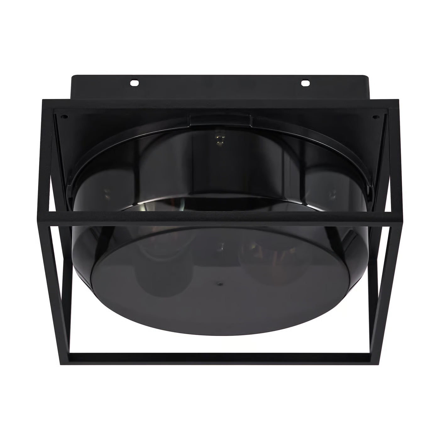 Griffin | Plafondlamp | Gerookt Glas