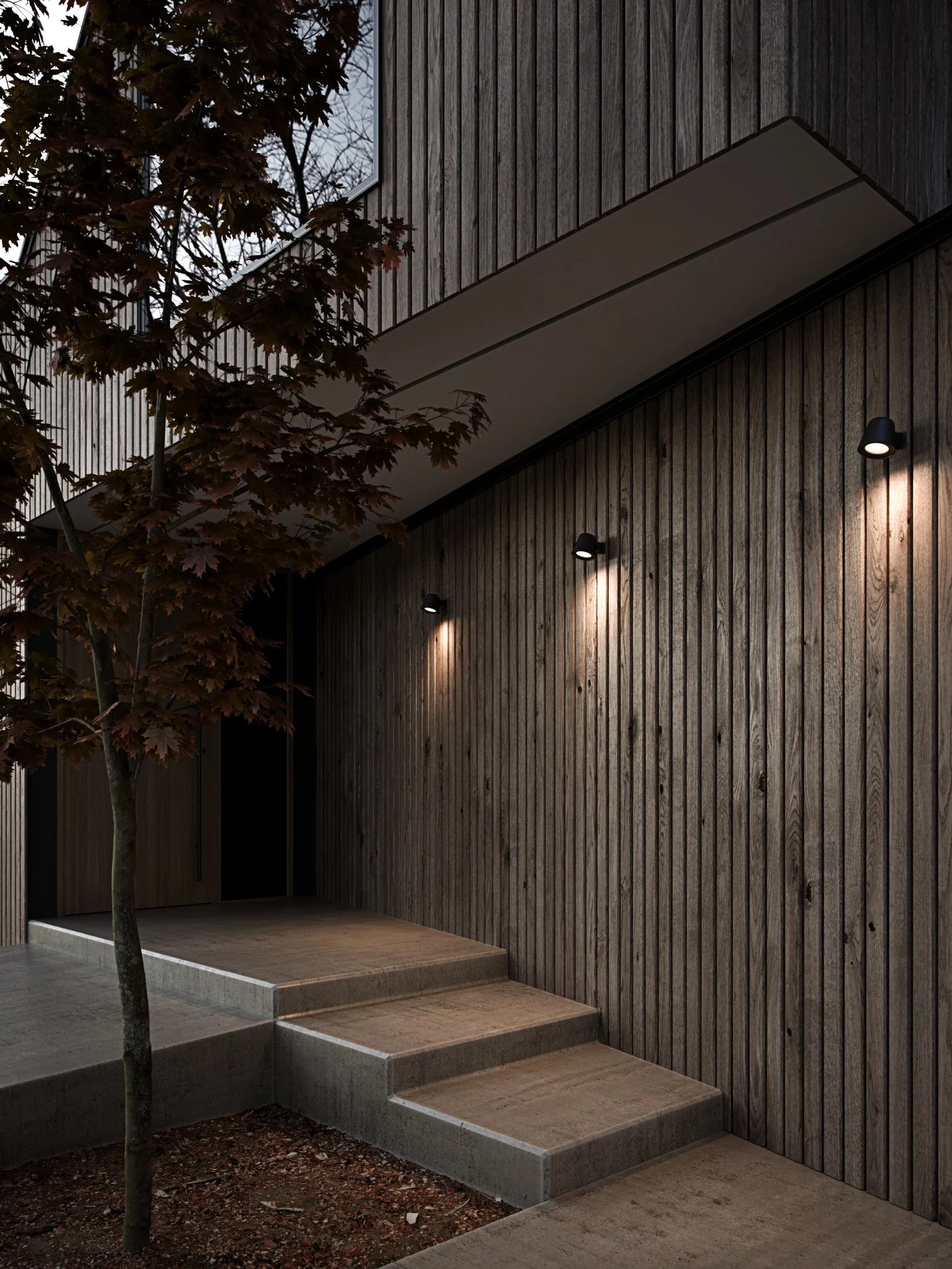 Aleria | Wandlamp | Zwart