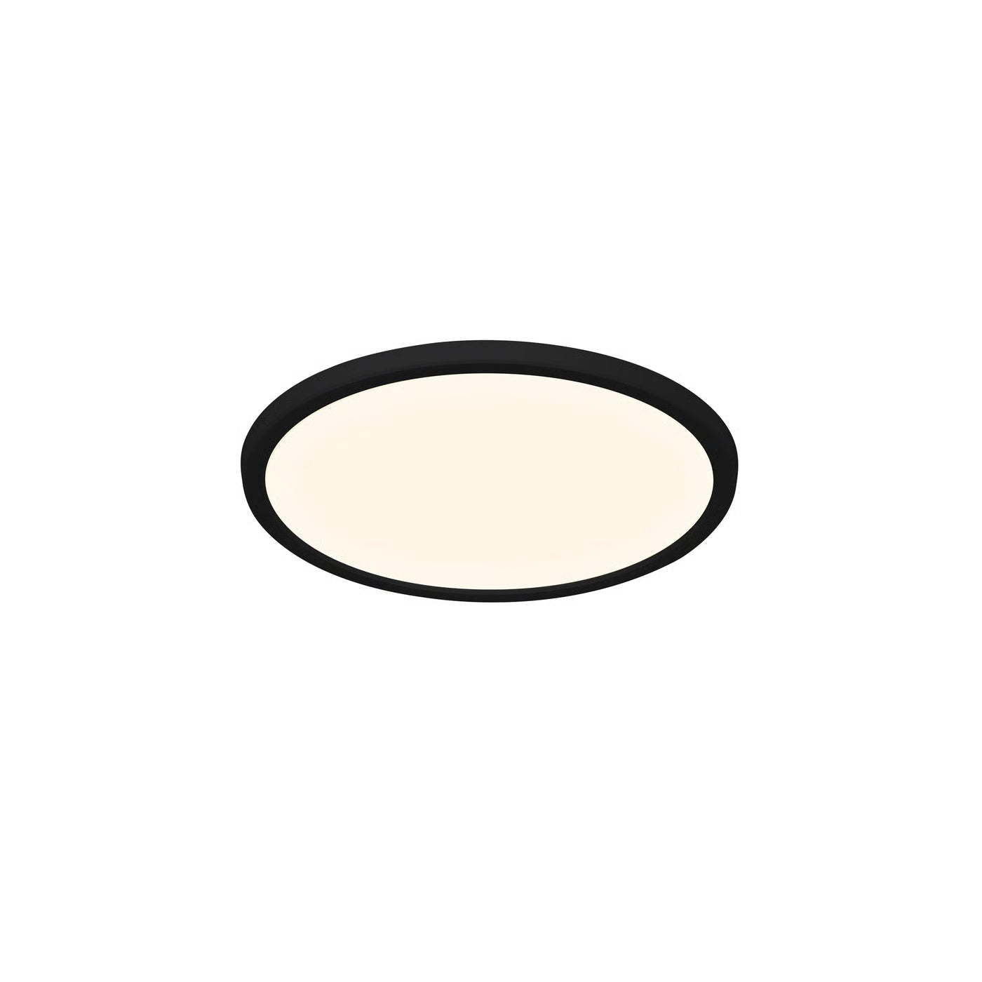 Oja 29 IP54 3000/4000K | Plafondlamp | Zwart
