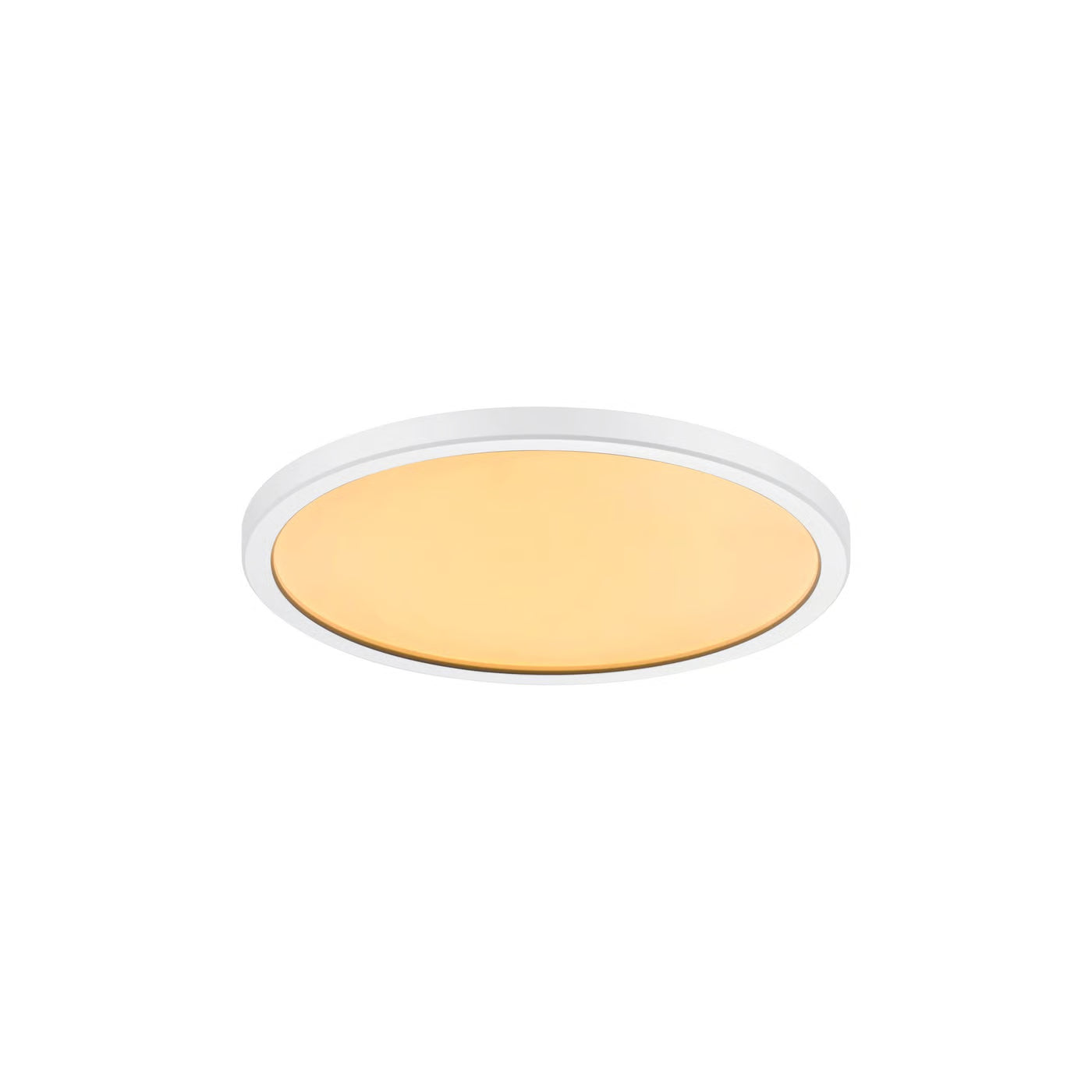 Oja 24 IP20 2700K | Plafondlamp | Wit
