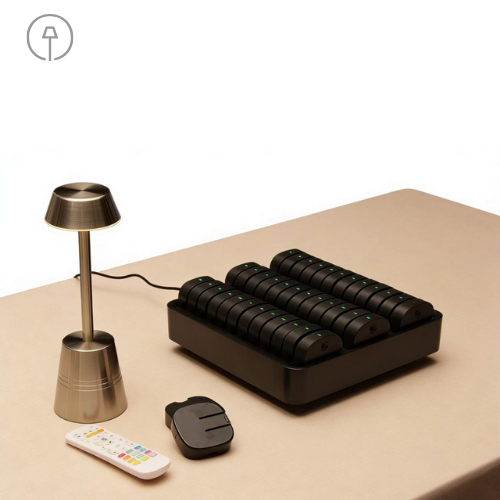 Collectie Ricambio Wisselbare Accu's